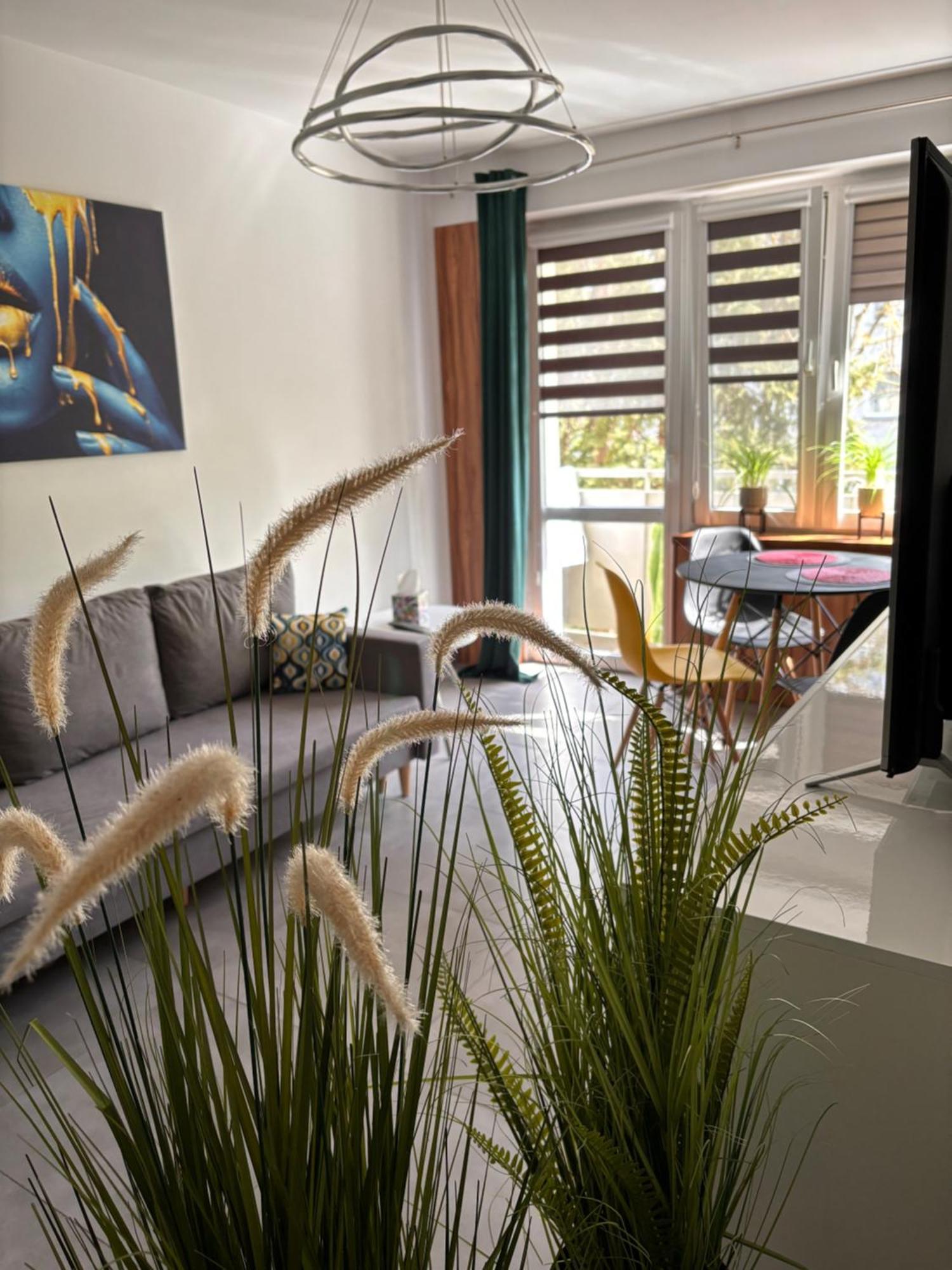 Apartament Teresa نيسة المظهر الخارجي الصورة